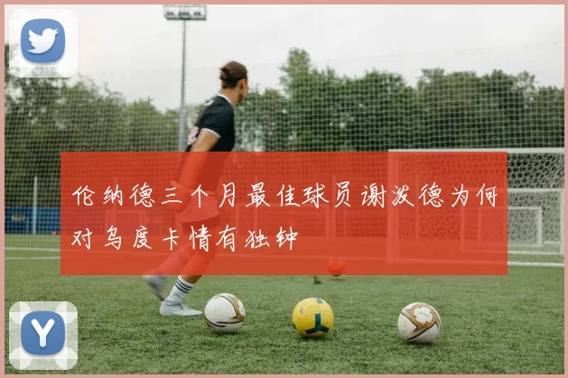 伦纳德三个月最佳球员谢泼德为何对乌度卡情有独钟